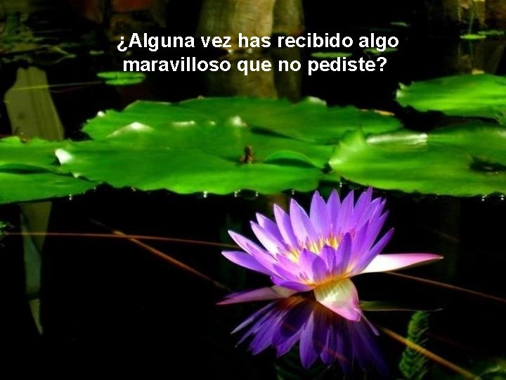 ¿Alguna vez has recibido algo maravilloso que no pediste? ¿Alguna vez has recibido algo maravilloso que no pediste?