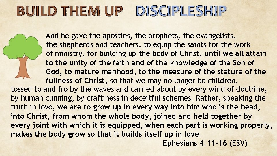 BUILD THEM UP DISCIPLESHIP And he gave the apostles, the prophets, the evangelists, the