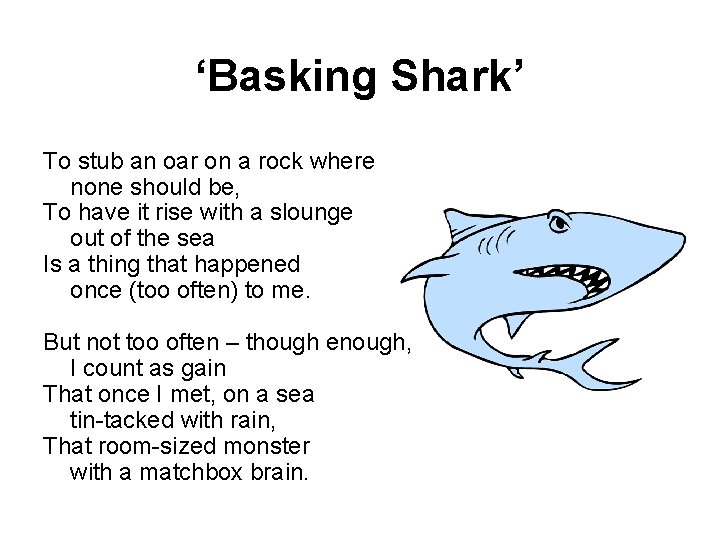 ‘Basking Shark’ To stub an oar on a rock where none should be, To