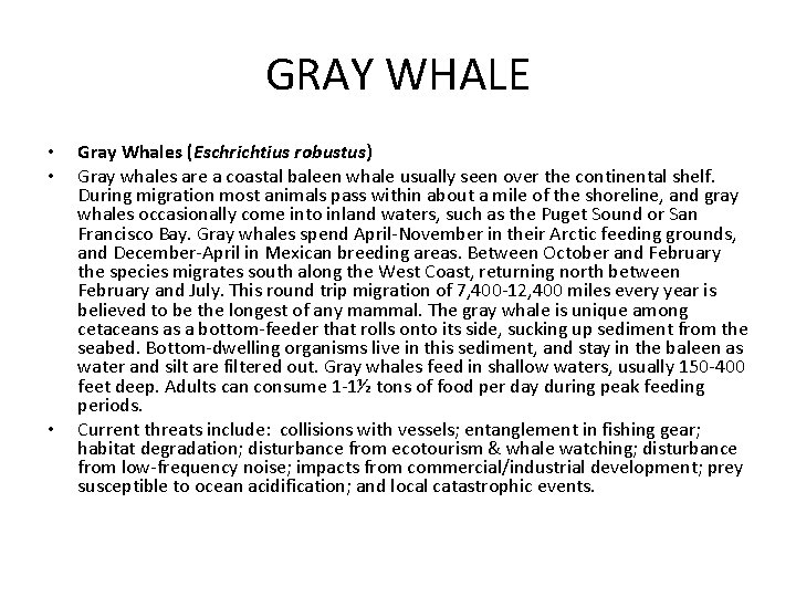 GRAY WHALE • • • Gray Whales (Eschrichtius robustus) Gray whales are a coastal
