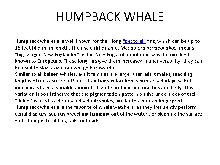 HUMPBACK WHALE Humpback whales are well known for their long "pectoral" fins, which can