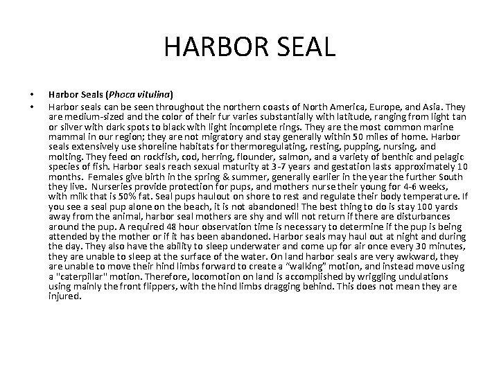 HARBOR SEAL • • Harbor Seals (Phoca vitulina) Harbor seals can be seen throughout