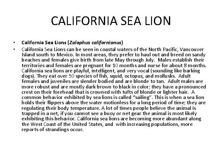 CALIFORNIA SEA LION • • California Sea Lions (Zalophus californianus) California Sea Lions can