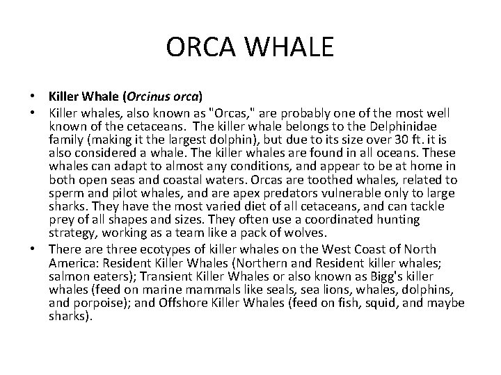 ORCA WHALE • Killer Whale (Orcinus orca) • Killer whales, also known as "Orcas,