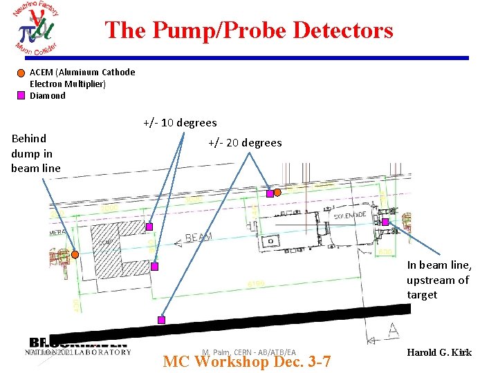 The Pump/Probe Detectors ACEM (Aluminum Cathode Electron Multiplier) Diamond +/- 10 degrees Behind dump The Pump/Probe Detectors ACEM (Aluminum Cathode Electron Multiplier) Diamond +/- 10 degrees Behind dump