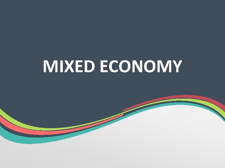 MIXED ECONOMY 
