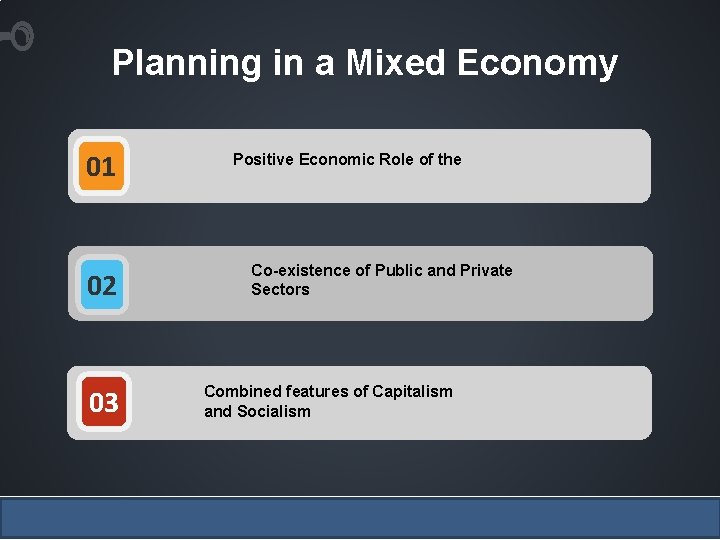 Planning in a Mixed Economy 01 02 03 Positive Economic Role of the Co-existence