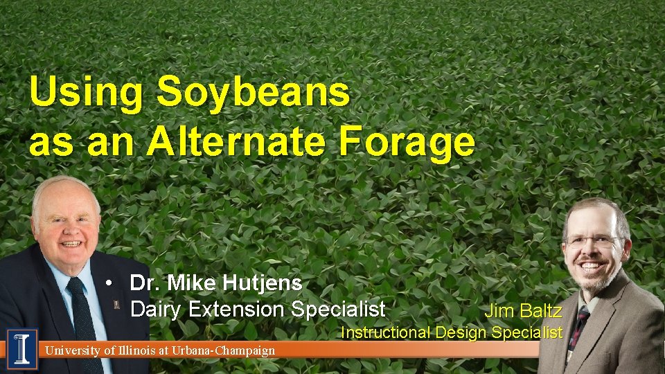 Using Soybeans as an Alternate Forage • Dr. Mike Hutjens Dairy Extension Specialist Jim