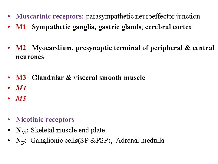  • Muscarinic receptors: parasympathetic neuroeffector junction • M 1 Sympathetic ganglia, gastric glands,