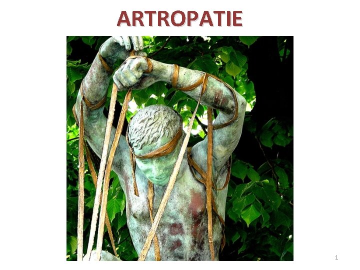 ARTROPATIE 1 