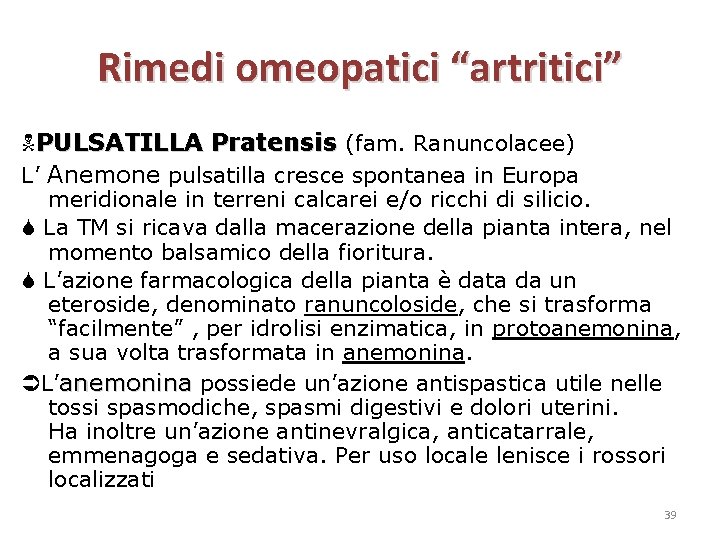 Rimedi omeopatici “artritici” PULSATILLA Pratensis (fam. Ranuncolacee) L’ Anemone pulsatilla cresce spontanea in Europa