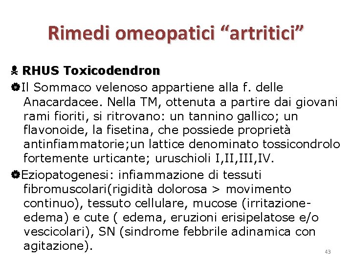 Rimedi omeopatici “artritici” RHUS Toxicodendron Il Sommaco velenoso appartiene alla f. delle Anacardacee. Nella