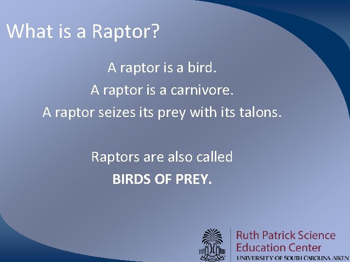 What is a Raptor? A raptor is a bird. A raptor is a carnivore.