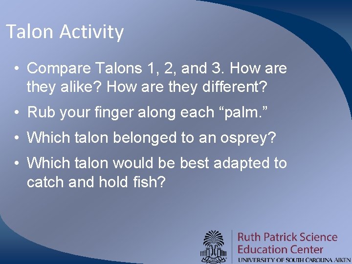Talon Activity • Compare Talons 1, 2, and 3. How are they alike? How