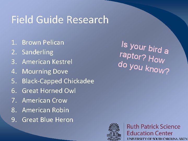 Field Guide Research 1. 2. 3. 4. 5. 6. 7. 8. 9. Brown Pelican