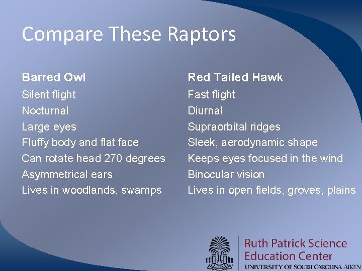 Compare These Raptors Barred Owl Red Tailed Hawk Silent flight Nocturnal Large eyes Fluffy