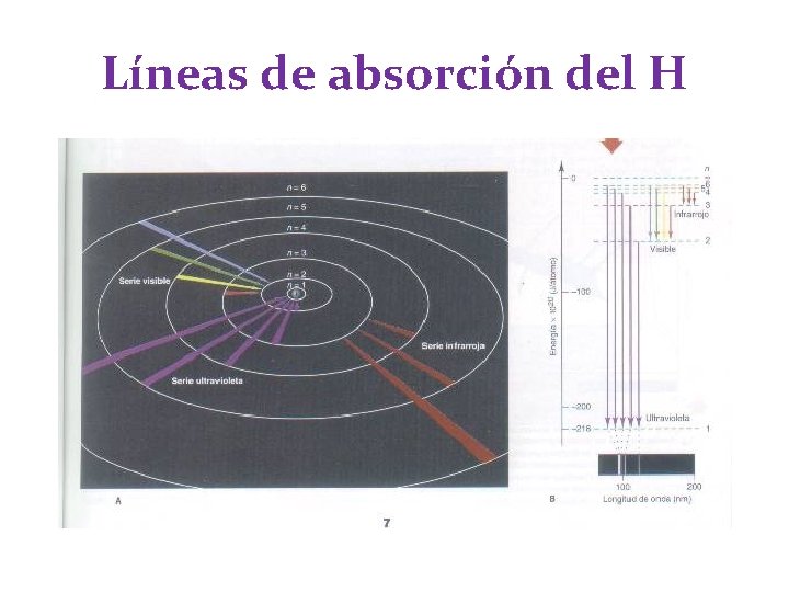 Líneas de absorción del H Líneas de absorción del H