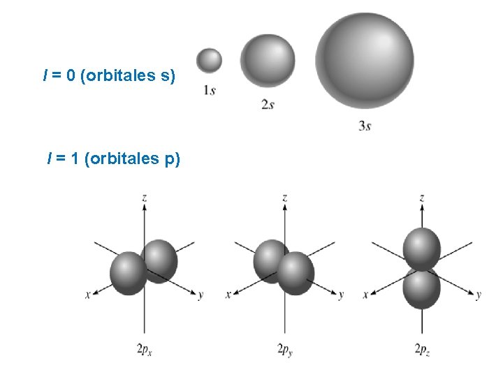 l = 0 (orbitales s) l = 1 (orbitales p) l = 0 (orbitales s) l = 1 (orbitales p)