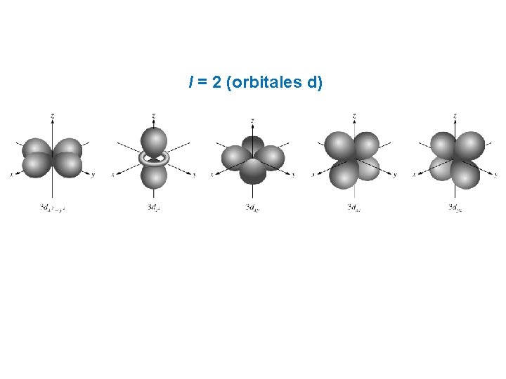 l = 2 (orbitales d) l = 2 (orbitales d)