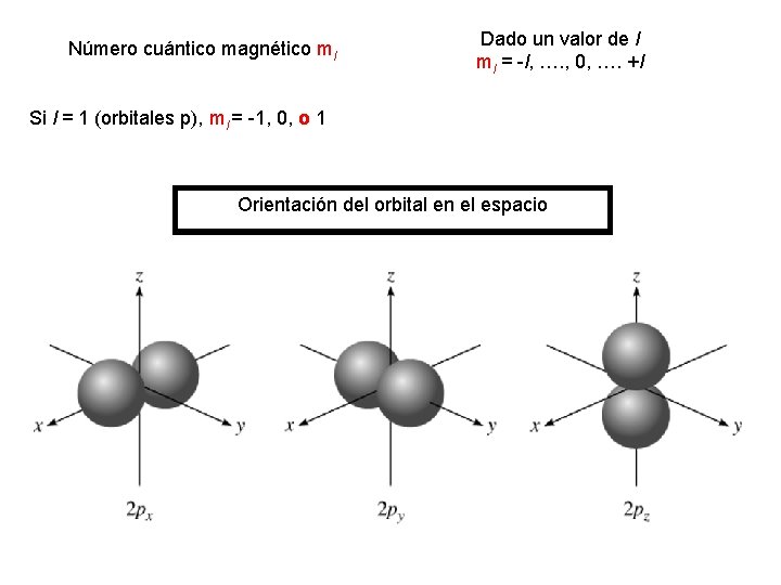 Número cuántico magnético ml Dado un valor de l ml = -l, …. , Número cuántico magnético ml Dado un valor de l ml = -l, …. ,