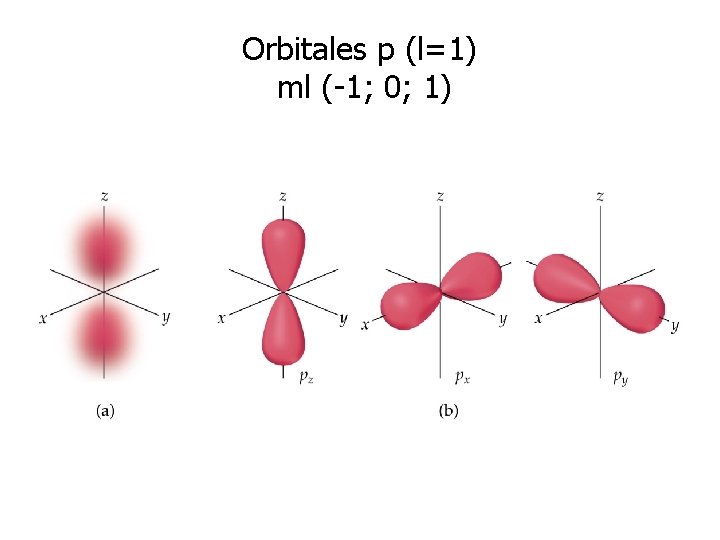 Orbitales p (l=1) ml (-1; 0; 1) Orbitales p (l=1) ml (-1; 0; 1)