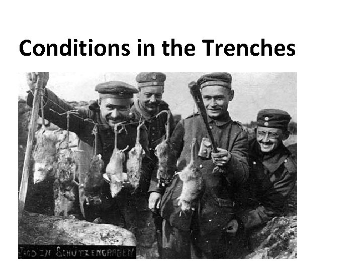 Conditions in the Trenches 