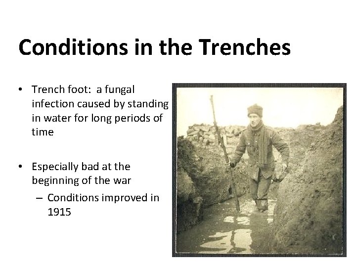 Conditions in the Trenches • Trench foot: a fungal infection caused by standing in