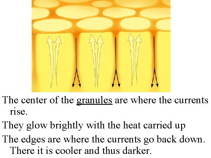 The center of the granules are where the currents rise. They glow brightly with