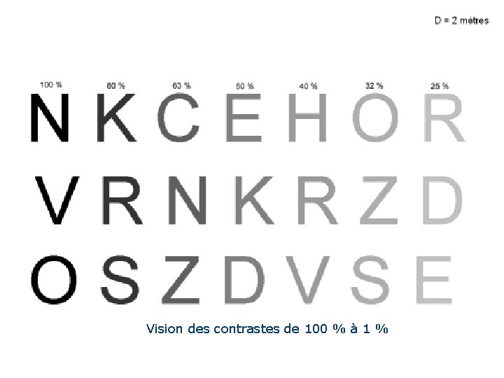 Vision des contrastes de 100 % à 1 % Vision des contrastes de 100 % à 1 %