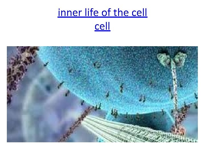 inner life of the cell 