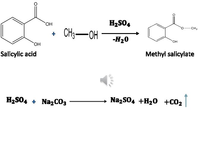 + Salicylic acid + Methyl salicylate 