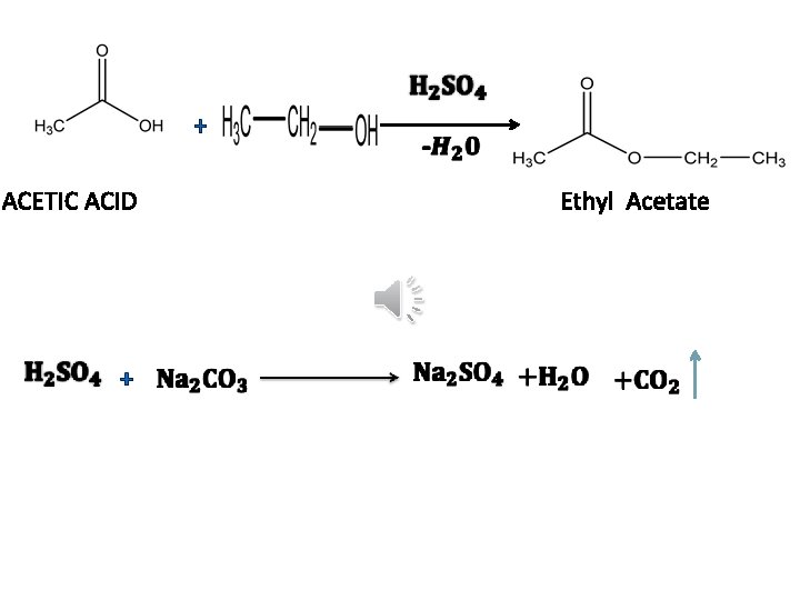 + ACETIC ACID + Ethyl Acetate 