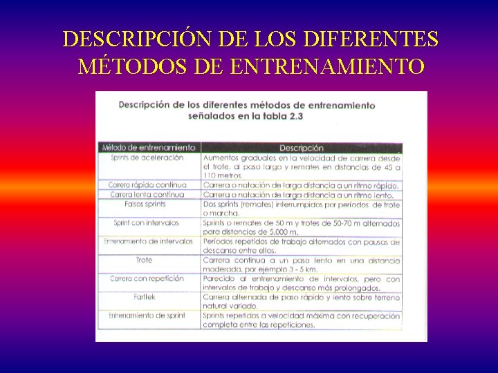 DESCRIPCIÓN DE LOS DIFERENTES MÉTODOS DE ENTRENAMIENTO 