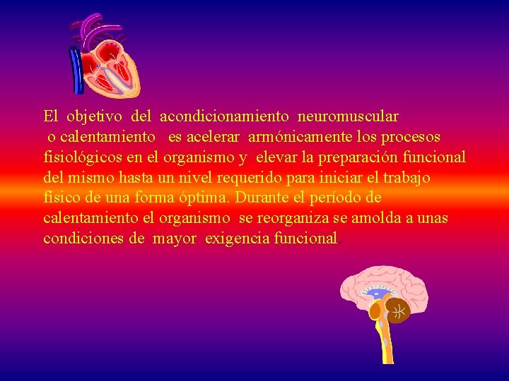 El objetivo del acondicionamiento neuromuscular o calentamiento es acelerar armónicamente los procesos fisiológicos en
