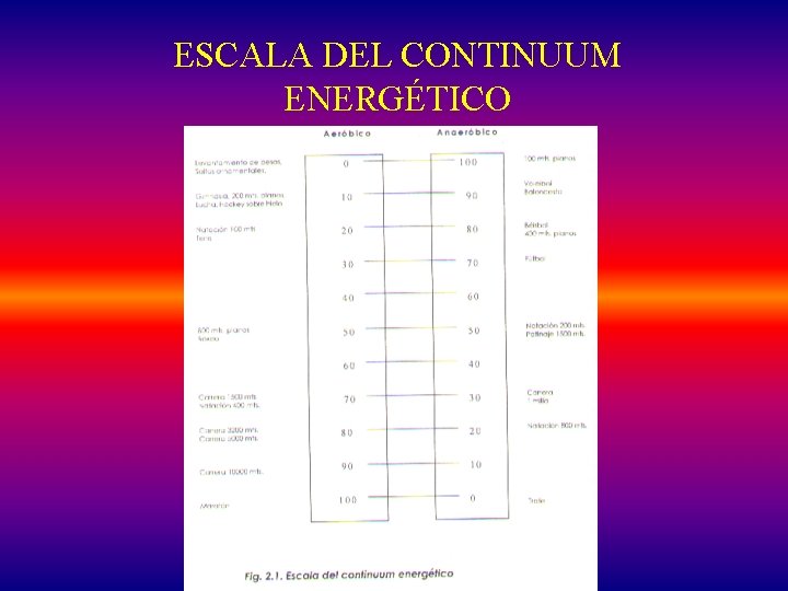ESCALA DEL CONTINUUM ENERGÉTICO 