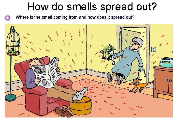 How do smells spread out? Where is the smell coming from and how does