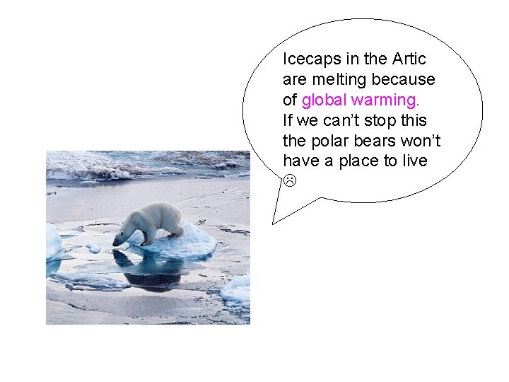 Icecaps in the Artic are melting because of global warming. If we can’t stop