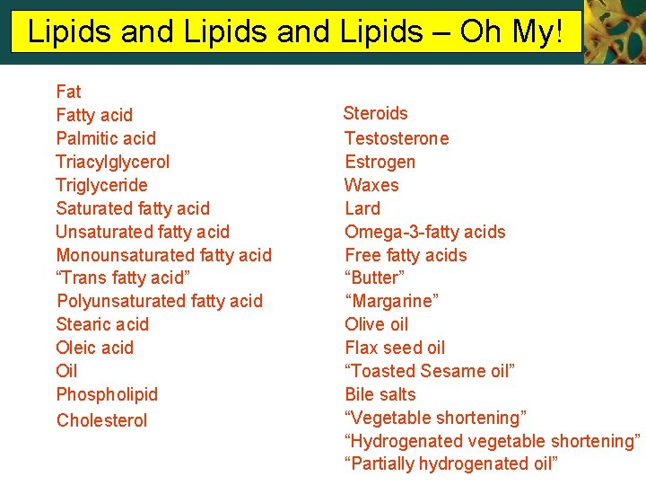 Lipids and Lipids – Oh My! Fatty acid Palmitic acid Triacylglycerol Triglyceride Saturated fatty