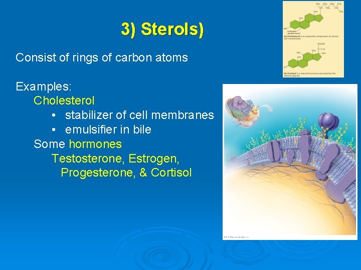 3) Sterols) Consist of rings of carbon atoms Examples: Cholesterol • stabilizer of cell