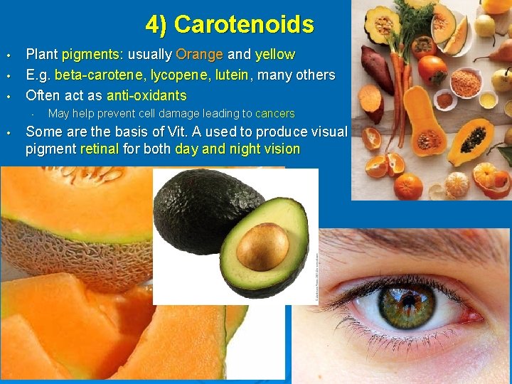 4) Carotenoids • • • Plant pigments: usually Orange and yellow E. g. beta-carotene,