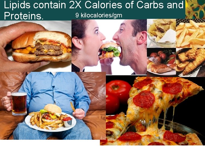 Lipids contain 2 X Calories of Carbs and 9 kilocalories/gm Proteins. 