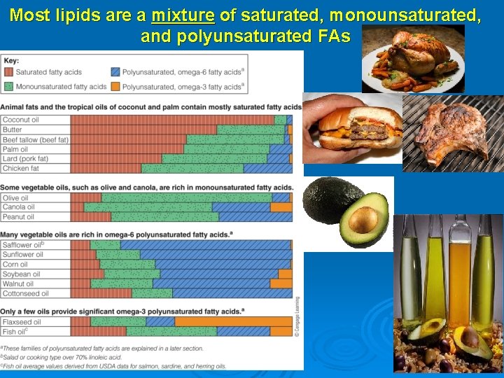Most lipids are a mixture of saturated, monounsaturated, and polyunsaturated FAs 