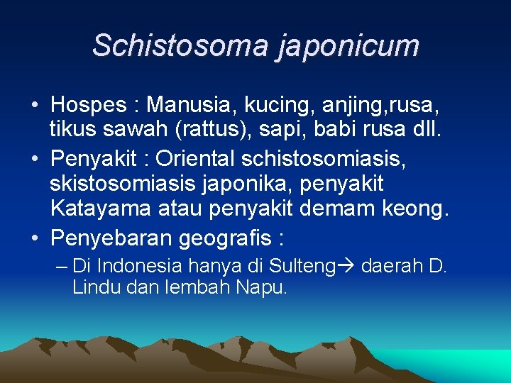 Schistosoma japonicum • Hospes : Manusia, kucing, anjing, rusa, tikus sawah (rattus), sapi, babi