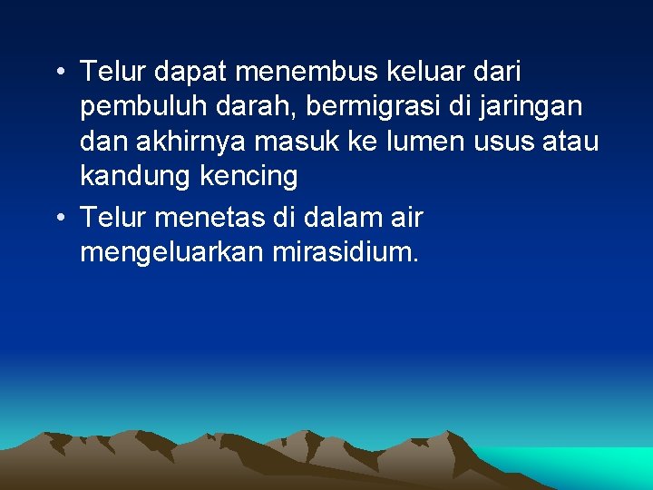  • Telur dapat menembus keluar dari pembuluh darah, bermigrasi di jaringan dan akhirnya