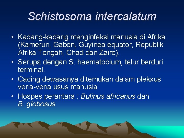 Schistosoma intercalatum • Kadang-kadang menginfeksi manusia di Afrika (Kamerun, Gabon, Guyinea equator, Republik Afrika
