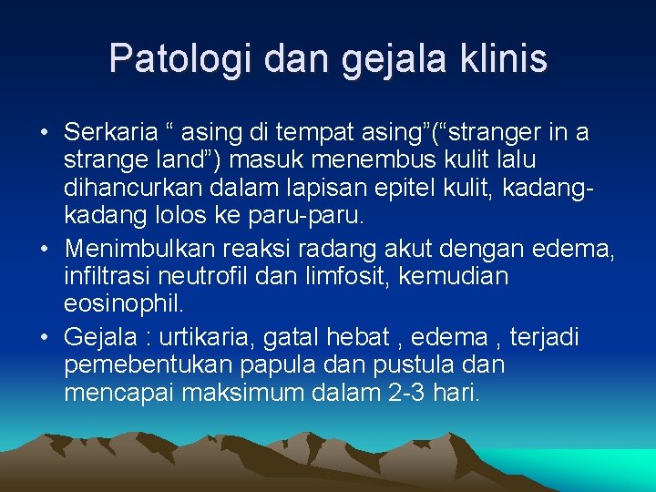 Patologi dan gejala klinis • Serkaria “ asing di tempat asing”(“stranger in a strange