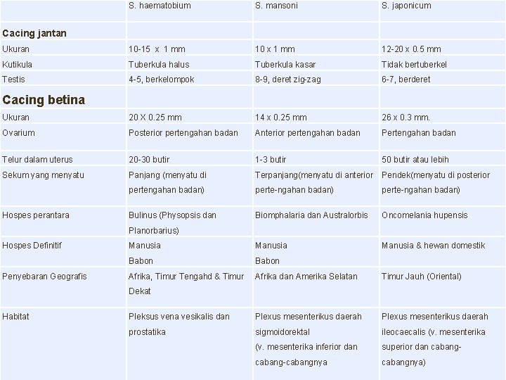S. haematobium S. mansoni S. japonicum Ukuran 10 -15 x 1 mm 10 x