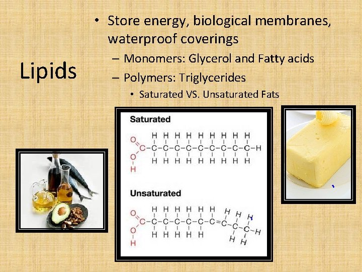  • Store energy, biological membranes, waterproof coverings Lipids – Monomers: Glycerol and Fatty