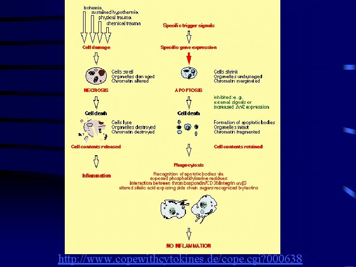 http: //www. copewithcytokines. de/cope. cgi? 000638 