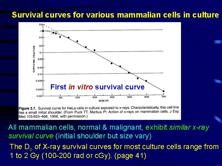 Survival curves for various mammalian cells in culture First in vitro survival curve All